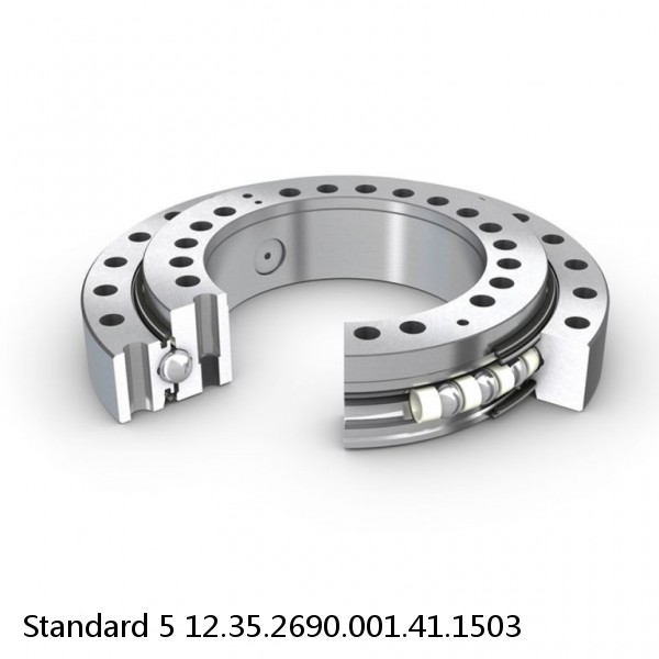 12.35.2690.001.41.1503 Standard 5 Slewing Ring Bearings