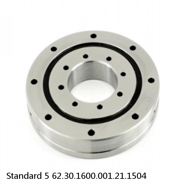 62.30.1600.001.21.1504 Standard 5 Slewing Ring Bearings #1 small image