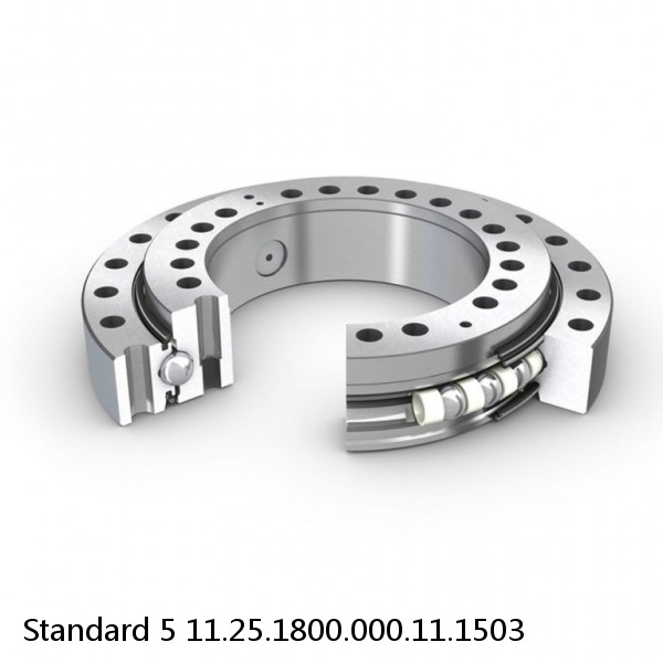 11.25.1800.000.11.1503 Standard 5 Slewing Ring Bearings #1 small image