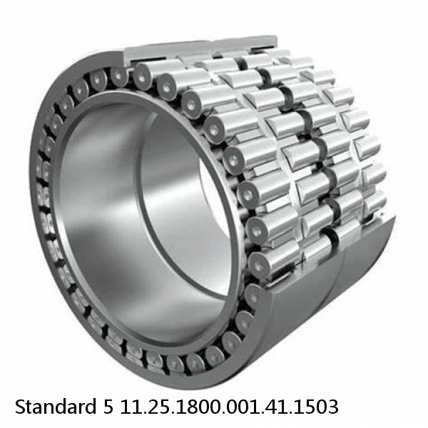 11.25.1800.001.41.1503 Standard 5 Slewing Ring Bearings