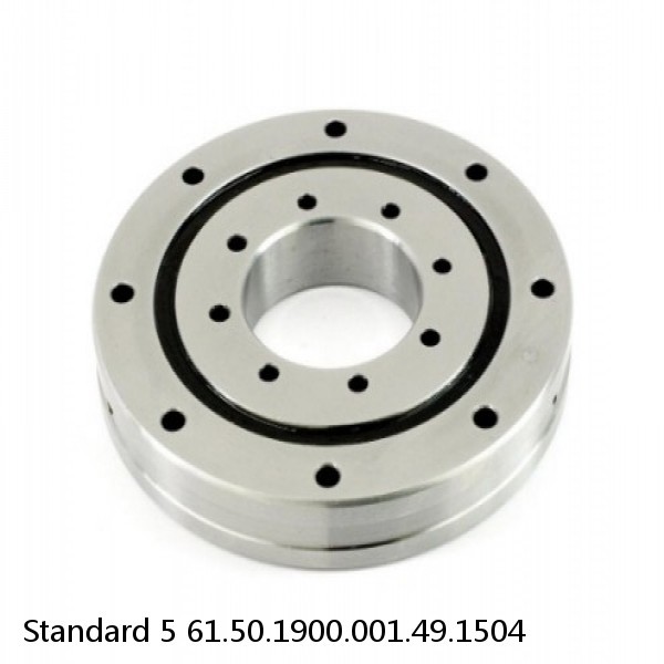 61.50.1900.001.49.1504 Standard 5 Slewing Ring Bearings