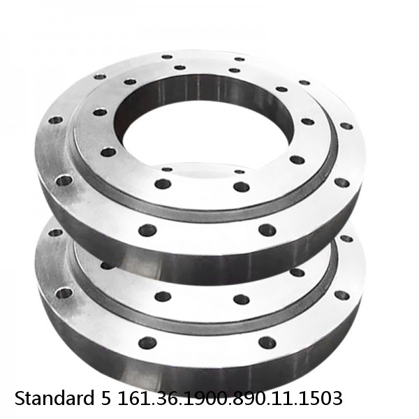 161.36.1900.890.11.1503 Standard 5 Slewing Ring Bearings #1 small image