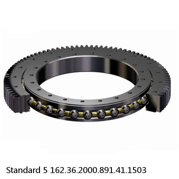 162.36.2000.891.41.1503 Standard 5 Slewing Ring Bearings