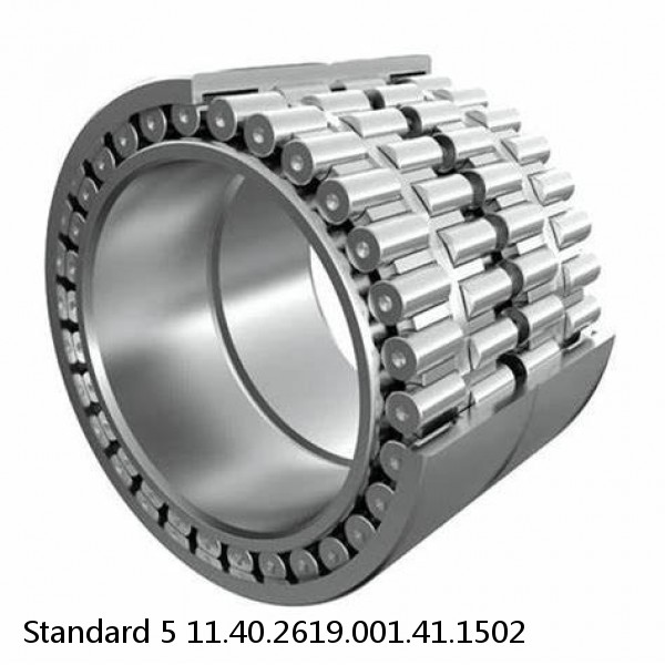 11.40.2619.001.41.1502 Standard 5 Slewing Ring Bearings #1 small image