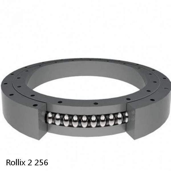 2 256 Rollix Slewing Ring Bearings #1 small image