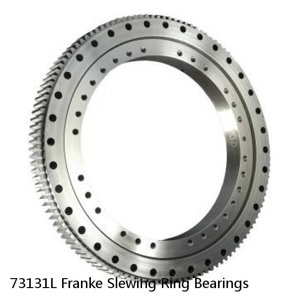 73131L Franke Slewing Ring Bearings #1 small image