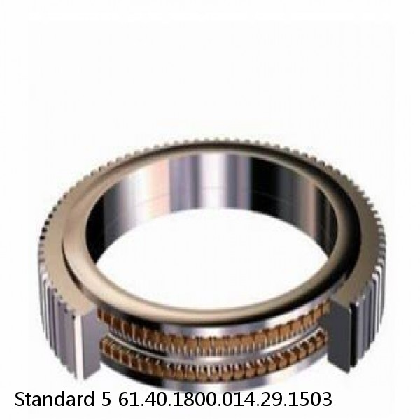 61.40.1800.014.29.1503 Standard 5 Slewing Ring Bearings #1 image