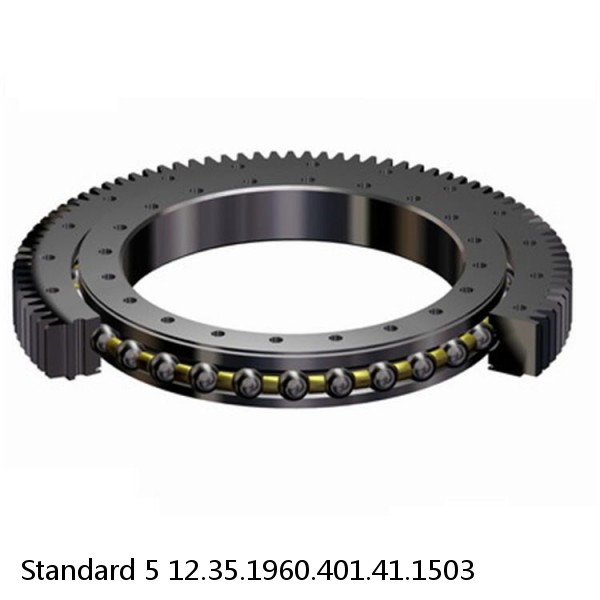 12.35.1960.401.41.1503 Standard 5 Slewing Ring Bearings #1 image