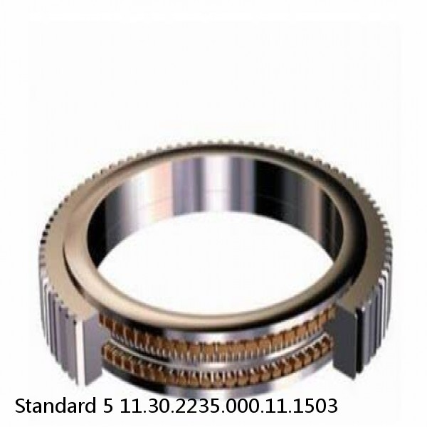 11.30.2235.000.11.1503 Standard 5 Slewing Ring Bearings #1 image
