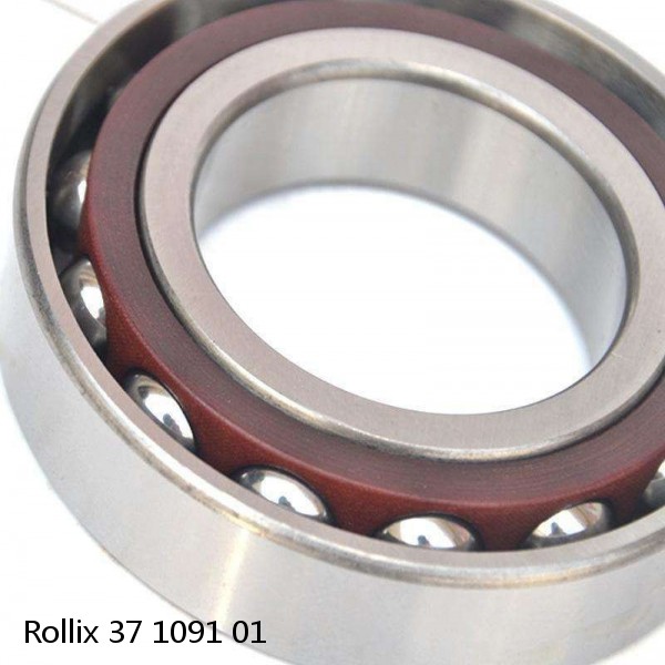 37 1091 01 Rollix Slewing Ring Bearings #1 image