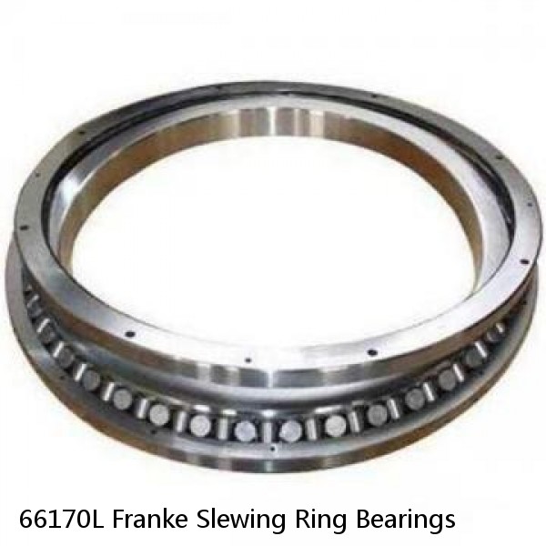 66170L Franke Slewing Ring Bearings #1 image
